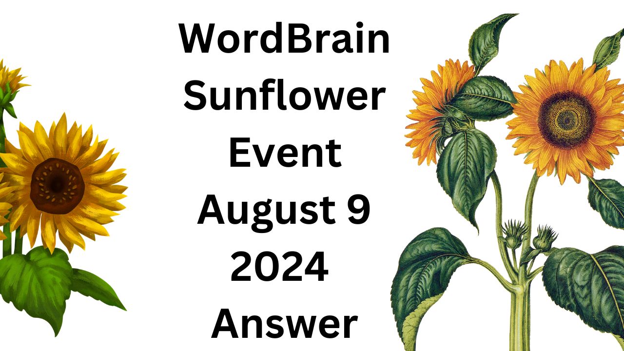 WordBrain Sunflower Event August 9 2024 Answer Preranatvchannel